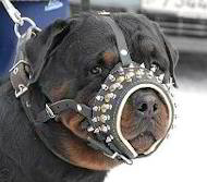 Royal Spiked Leather Dog Muzzle - Nappa padde leather dog muzzle