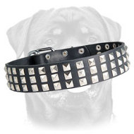 3 Rows Studded Leather Dog Collar for Rottweiler 3 Rows Studded Leather Dog Collar for Rottweiler