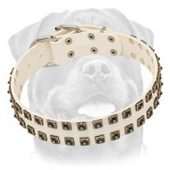 White Leather Dog Collar with Old Nickel Square Studs for Everyday Walks - NEW OFFER White Leather Dog Collar with Old Nickel Square Studs for Everyday Walks - NEW OFFER