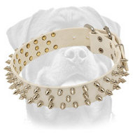 Super Fashionable Spiked White Leather Dog Collar for Walking Super Fashionable Spiked White Leather Dog Collar for Walking