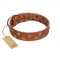 "Ancient Symbol" Trendy FDT Artisan Tan Leather Rottweiler Collar with Silver- and Gold-Like Studs