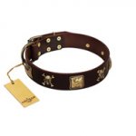 "Crazy Pirate" FDT Artisan Brown Leather Rottweiler Collar with Old Bronze-Plated Skulls and Plates