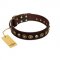 "Street Fashion" FDT Artisan Brown Leather Rottweiler Collar Adorned with Circles and Skulls