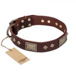 "Loving Owner" FDT Artisan Decorated Leather Rottweiler Collar with Plates and Studs