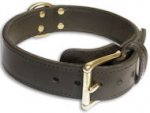 Leather Dog Collar for Rottweiler Agitation Training