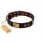 "Bow-Wow Effect" FDT Artisan Brown Leather Rottweiler Collar with Plates and Ornate Studs