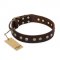 "Bronze Sheen" FDT Artisan Leather Rottweiler Collar with Brass-Plated Studs
