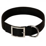1 1/5 inch Nylon Dog Collar for Rottweiler