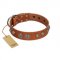 "Era Infinitum" FDT Artisan Tan Leather Rottweiler Collar Adorned with Chrome-plated Circles