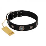 "Blue Gems" FDT Artisan Black Leather Rottweiler Collar with Chrome Plated Studs and Conchos