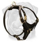 Tracking and Walking Leather Harness for Rottweiler