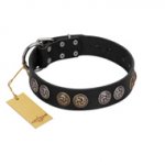 "Mister Exclusive" Designer FDT Artisan Black Leather Rottweiler Collar with Medallions