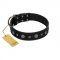 "Mr. Elegance" Designer FDT Artisan Black Leather Rottweiler Collar with Silver-Like Studs