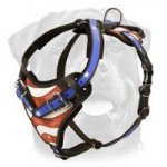 American Flag Painted Agitation/Protection Harness for Rottweiler