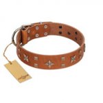 "Dreamy Gleam" FDT Artisan Tan Leather Rottweiler Collar Adorned with Stars and Squares