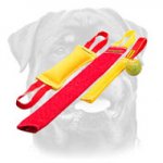 Rottweiler puppy training set for safe training