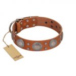"Far Star" FDT Artisan Tan Leather Rottweiler Collar with Engraved Studs
