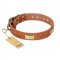 "Enchanting Spectacle" FDT Artisan Tan Leather Rottweiler Collar with Old Bronze Look Plates and Round Studs