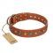 "Natural Beauty" FDT Artisan Tan Leather Rottweiler Collar with Shining Silver-like Studs