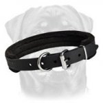 Padded Dog Collar - Large Dog Breeds Accessory - Rottweiler Collar with Padding 1 inch (2.5cm) width
