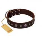 "Pure Sensation" Exclusive FDT Artisan Brown Leather Rottweiler Collar with Fancy Brooches and Studs