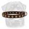 Smart Leather Special Dog Collar With Brass Look Rusted Circles