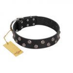 "Power-Flower" FDT Artisan Black Leather Rottweiler Collar with Two Rows of Silver-like Studs with Engraved Flowers