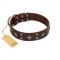 "Stars in Sands" Modern FDT Artisan Brown Leather Rottweiler Collar with Studs and Stars