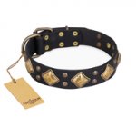 "Fancy-Schmancy" FDT Artisan Studded Leather Rottweiler Collar