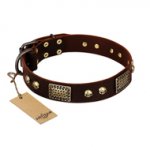"Magic Amulet" Brown Leather Rottweiler Collar with Skulls and Plates