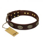 "Chocolate kiss" FDT Artisan Leather Rottweiler Collar with Old Bronze Look Oval Plates