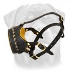 Fashion Studded Rottweiler Muzzle