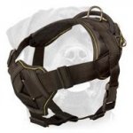 Unique Nylon Dog Harness-Many Way Adjustable Rottweiler Equipment