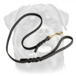 High Quality Handcrafted Leather Dog Leash for Rottweiler