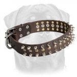 Leather dog collar for Rottweiler