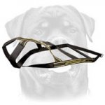 Novel Best Nylon Weight Pulling Dog Harness for Powerful Rottweiler