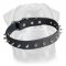 Leather Spiked Dog Collar for Rottweiler