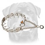 Stainless steel dog pinch prong collar - 50045 (55) 1/6 inch (3.99 mm)