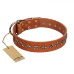 "Star Trek" FDT Artisan Tan Leather Rottweiler Collar Decorated with Stars