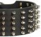 3 inch Spiked Leather Dog Collar for Rottweiler