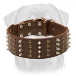 Rottweiler Leather Dog Collar with Pretty Studs and Spikes