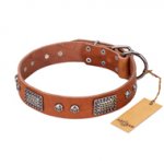 "Sparkling Skull" FDT Artisan Tan Leather Rottweiler Collar with Old Silver Look Plates and Skulls