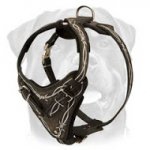 Exquisite Barbed Wire Painted Leather Harness for Your Rottweiler