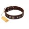 "Object of Virtu" FDT Artisan Brown Leather Rottweiler Collar with Old Silver-like Square Studs and Pyramids