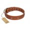 "Star Shine" Exclusive FDT Artisan Tan Leather Rottweiler Collar with Silver-Like Adornments