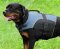 Reliable Nylon Handmade Dog Coat - Easy Adjustable Durable Vest
