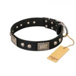 "Pirates Gold" FDT Artisan Black Leather Rottweiler Collar with Old Silver Look Plates and Skulls
