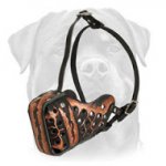 Hand Painted Leather Muzzle for Rottweiler