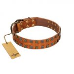 "Terra-cotta" FDT Artisan Tan Leather Rottweiler Collar with Two Rows of Studs