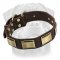 Designer Dog Collar for Rottweiler-Leather Custom Collar